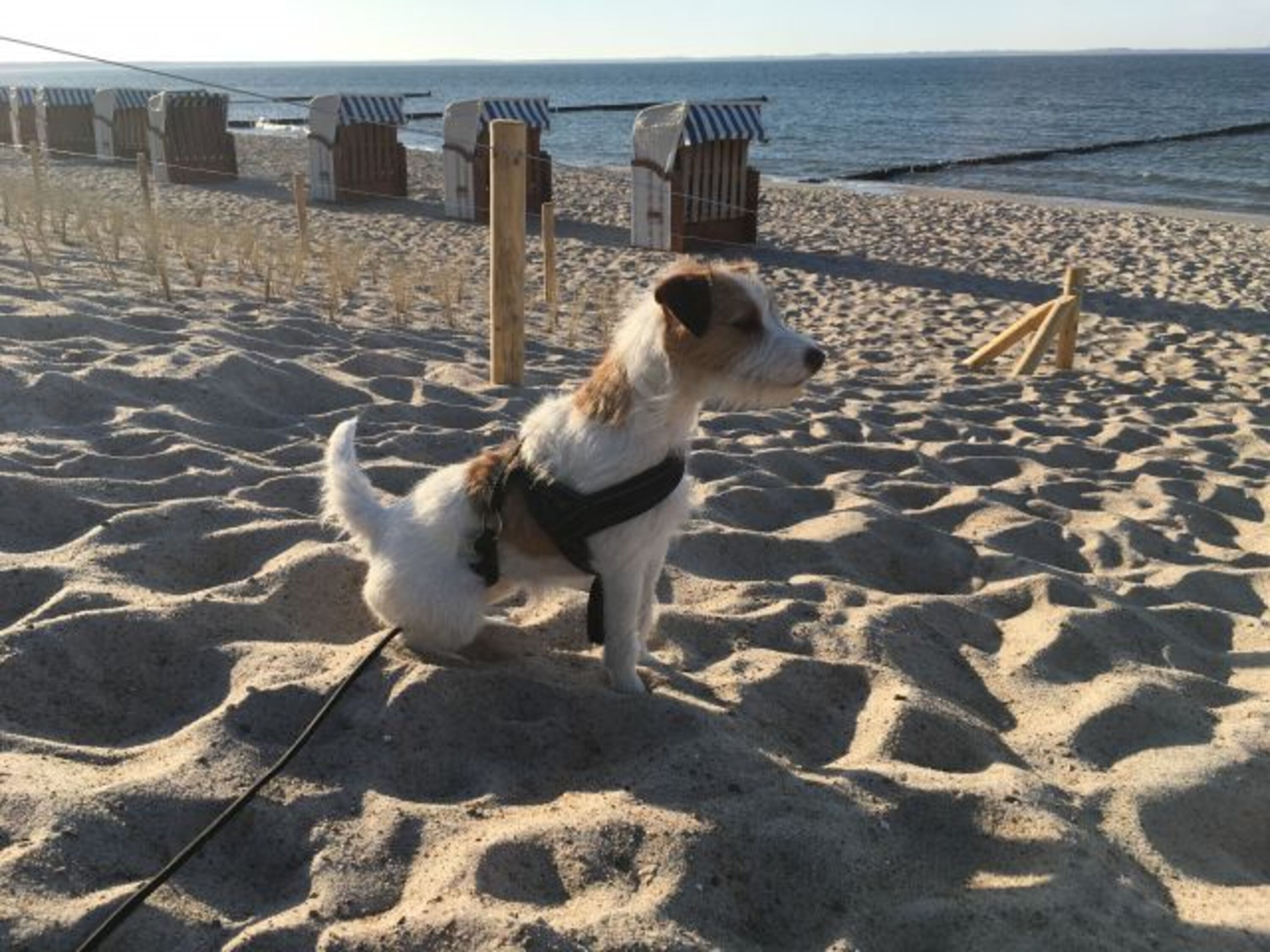 Bild 18