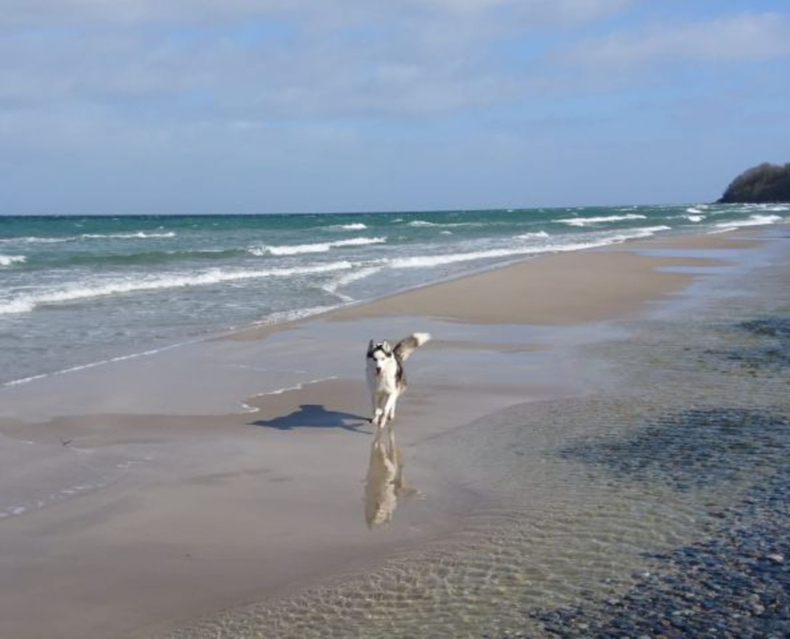 Bild 14