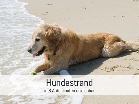 Hundestrand Norgaardholz 