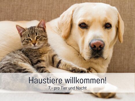 Vier Tiere dürfen mit, wenn es mehr sind, ruft uns kurz an.