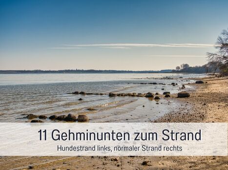 Hunde  dürfen vom  1.11. bis 31.3. an fast alle Strände