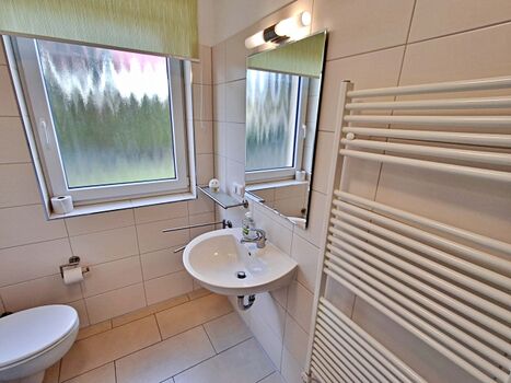 Tageslicht-Bad mit DU/WC
