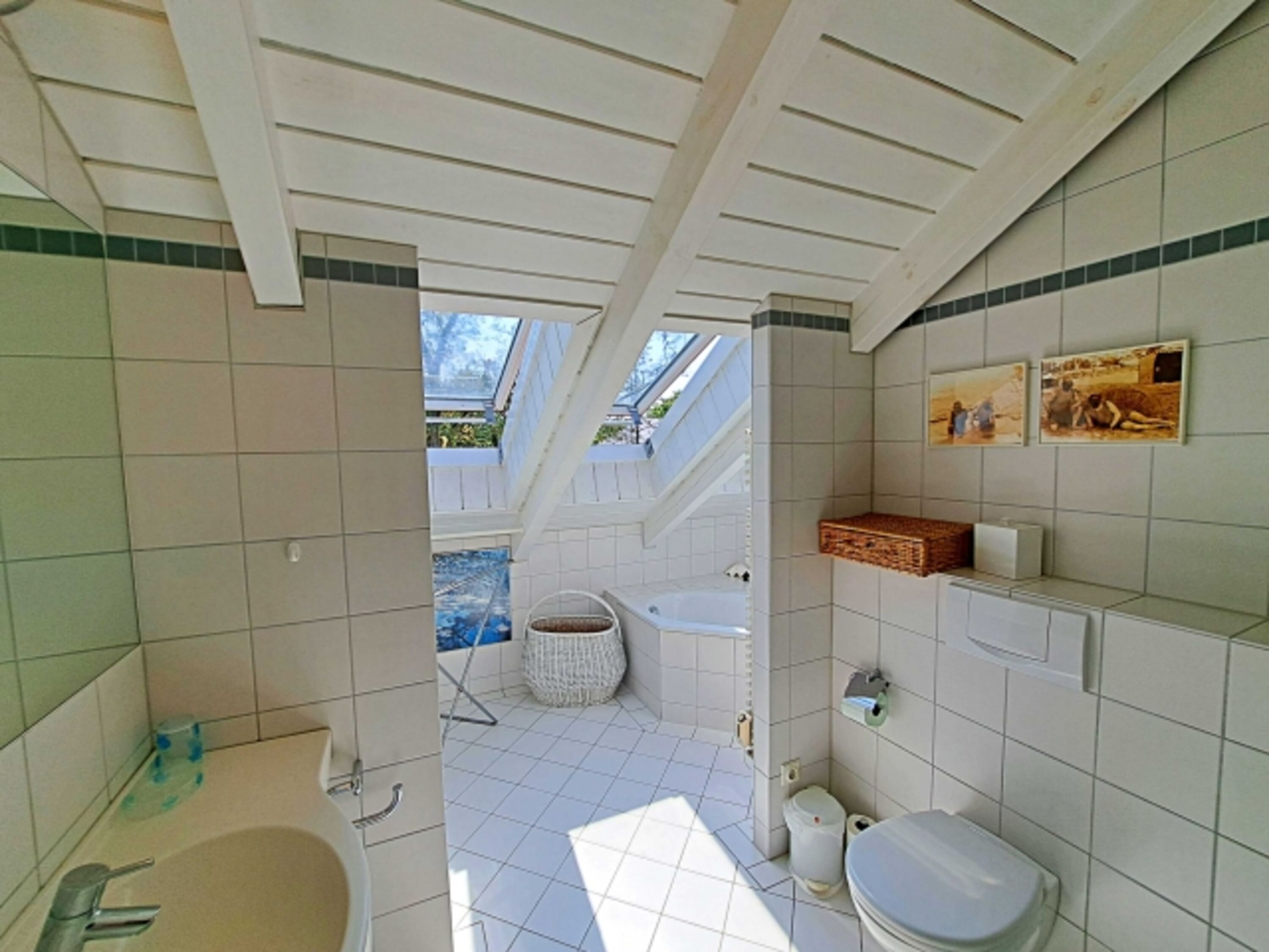 Tageslicht-Bad mit Badewanne und DU/WC