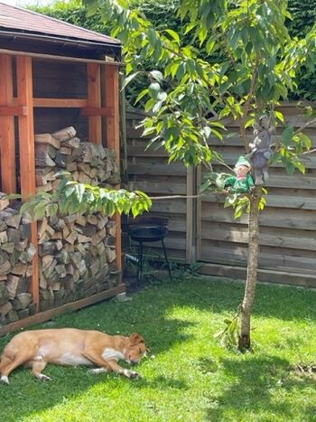 Schöne Plätze für unsere Vierbeiner