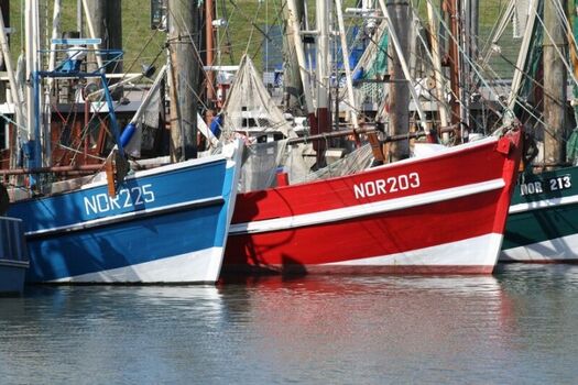 Ausflug an die Nordseeküste. 