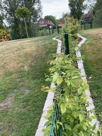 unser Deichhaus und unser Haus Rabe sind durch einen Zaun getrennt