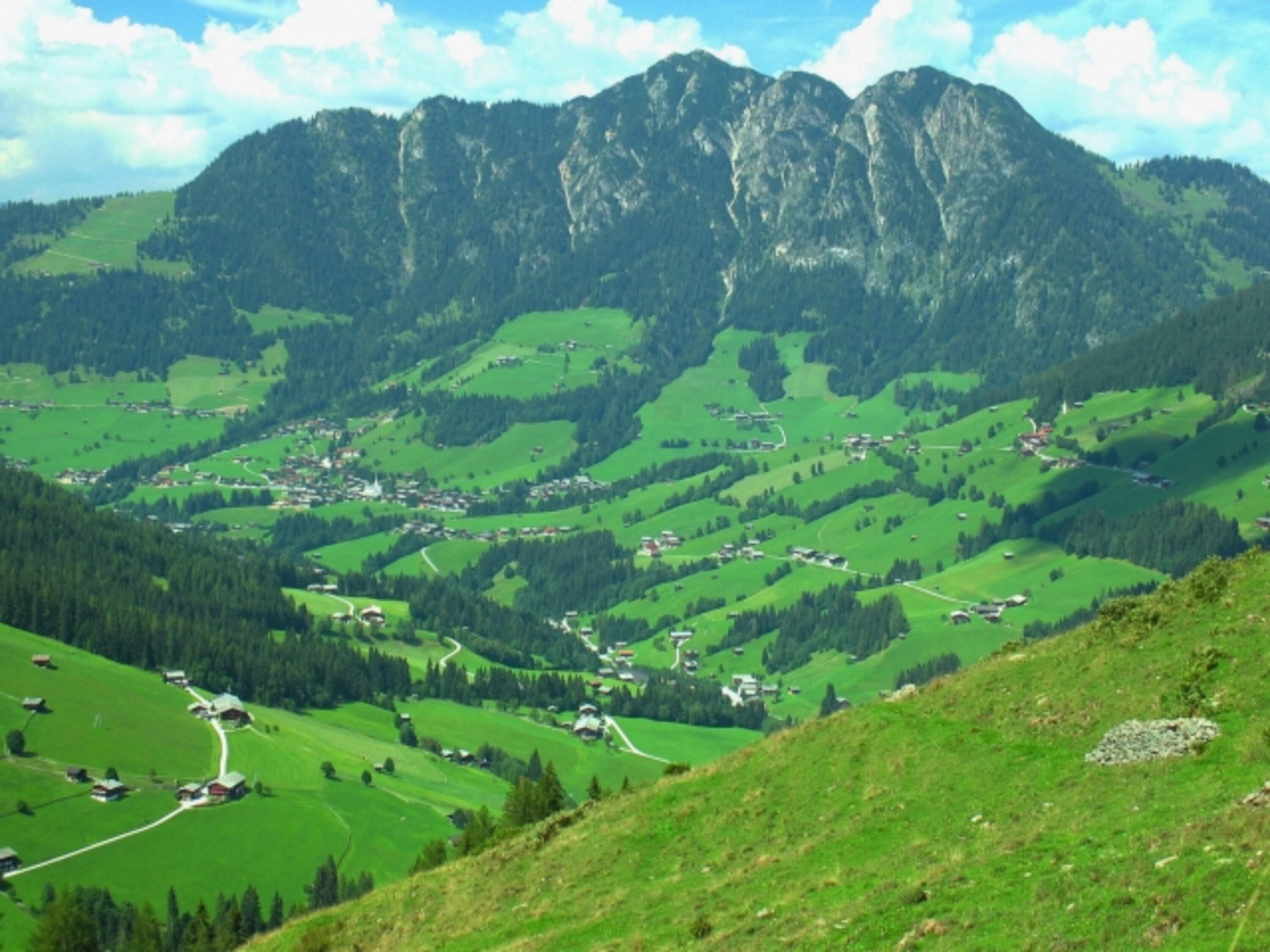 Bild 29
