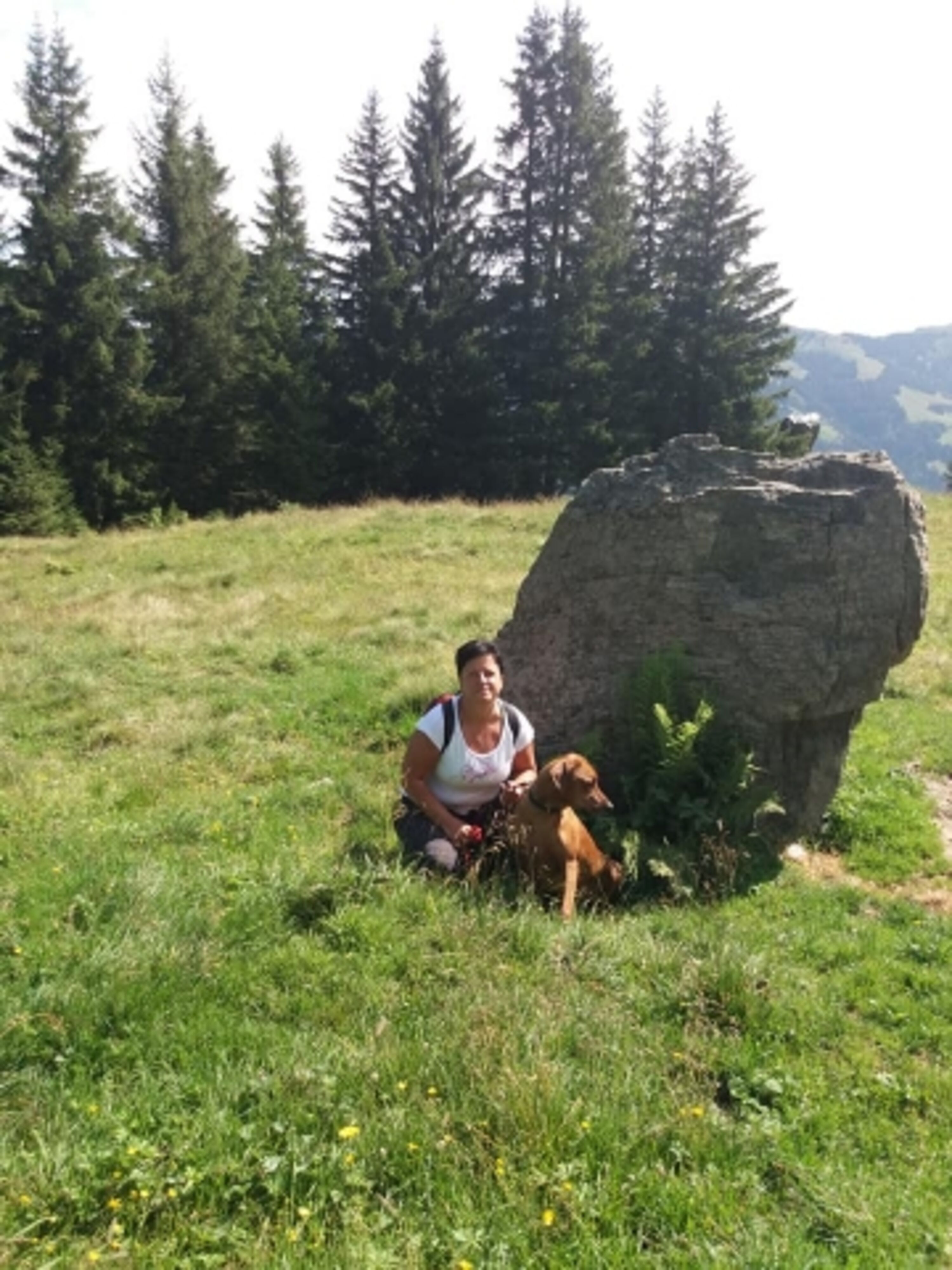 Bild 23