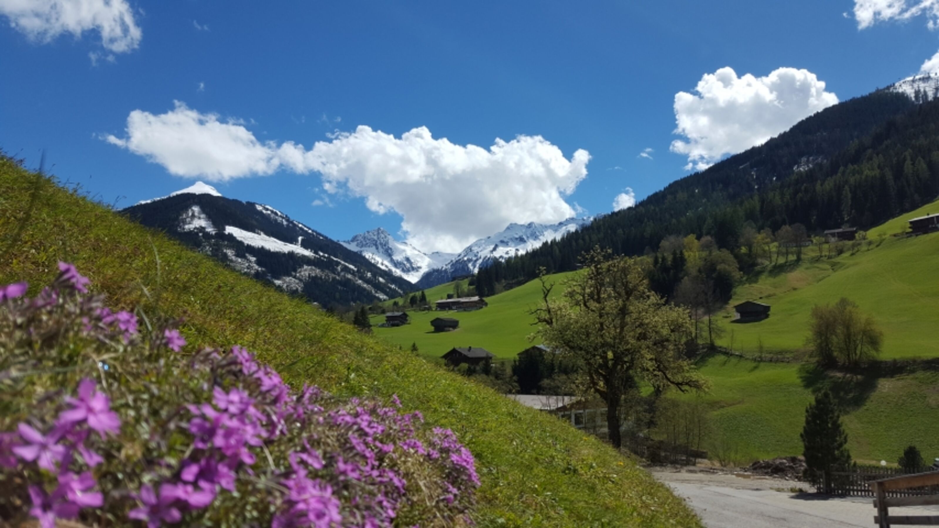 Bild 11