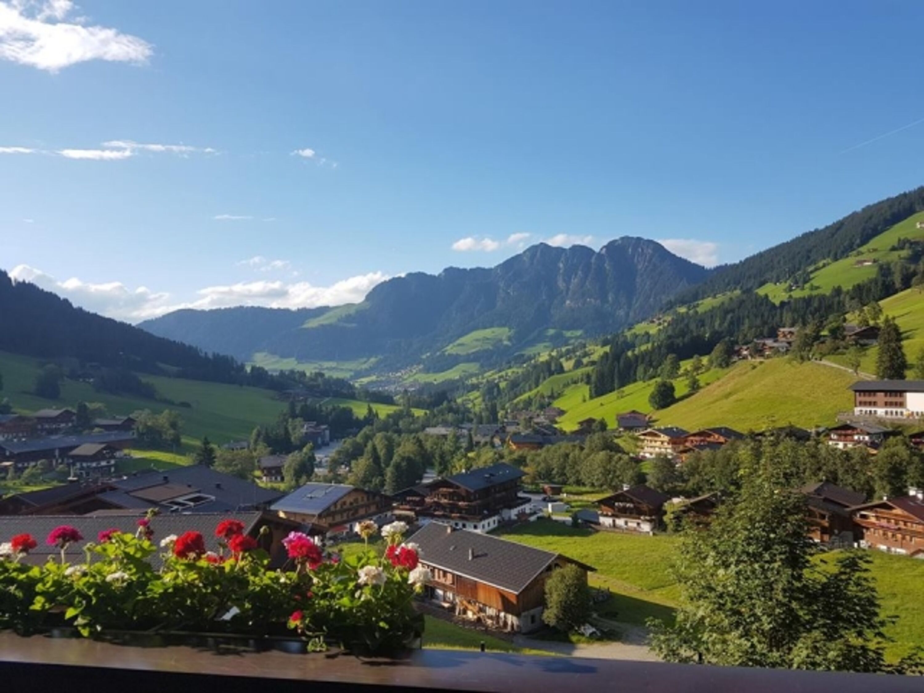 Bild 17
