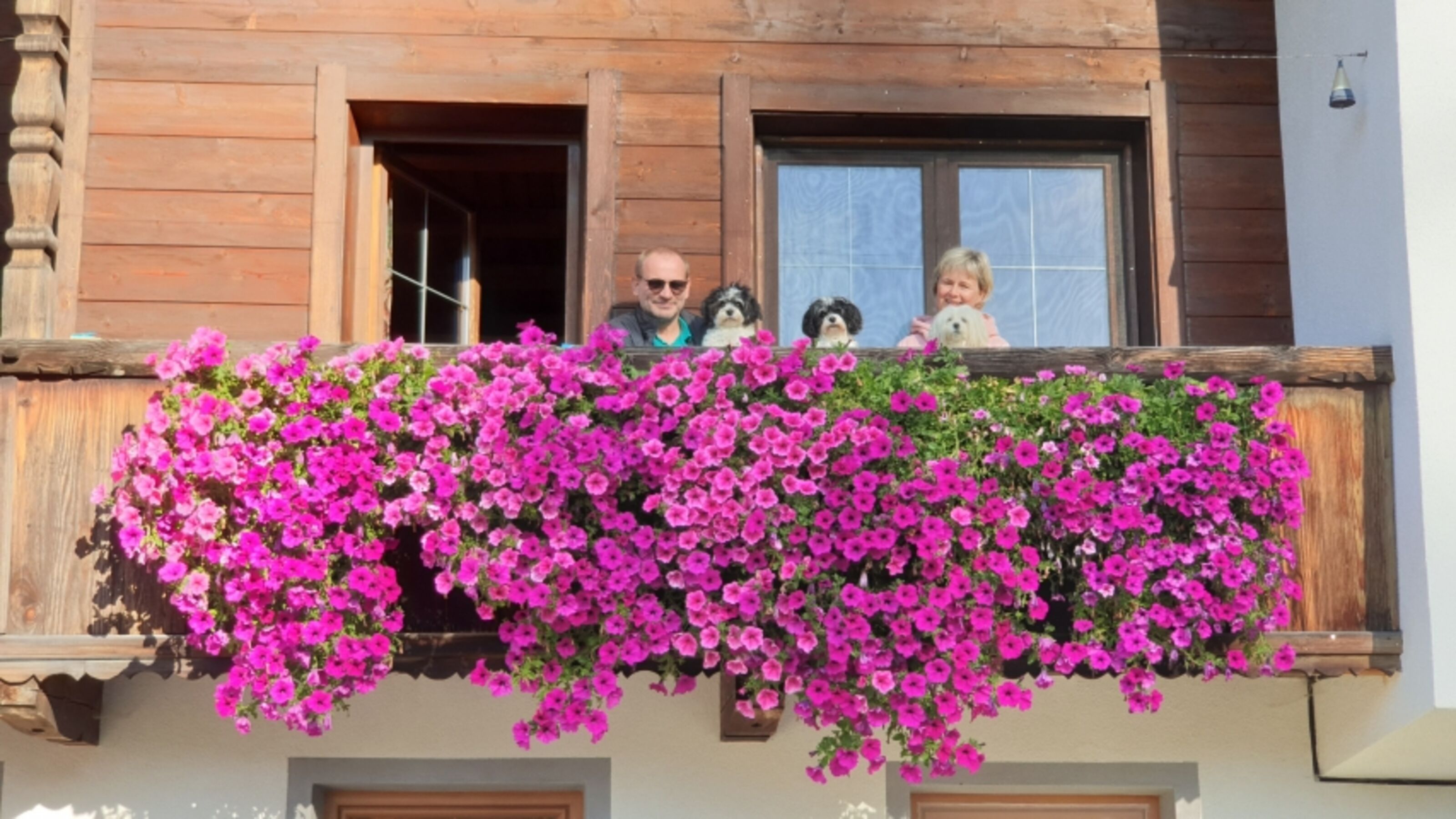 Bild 13