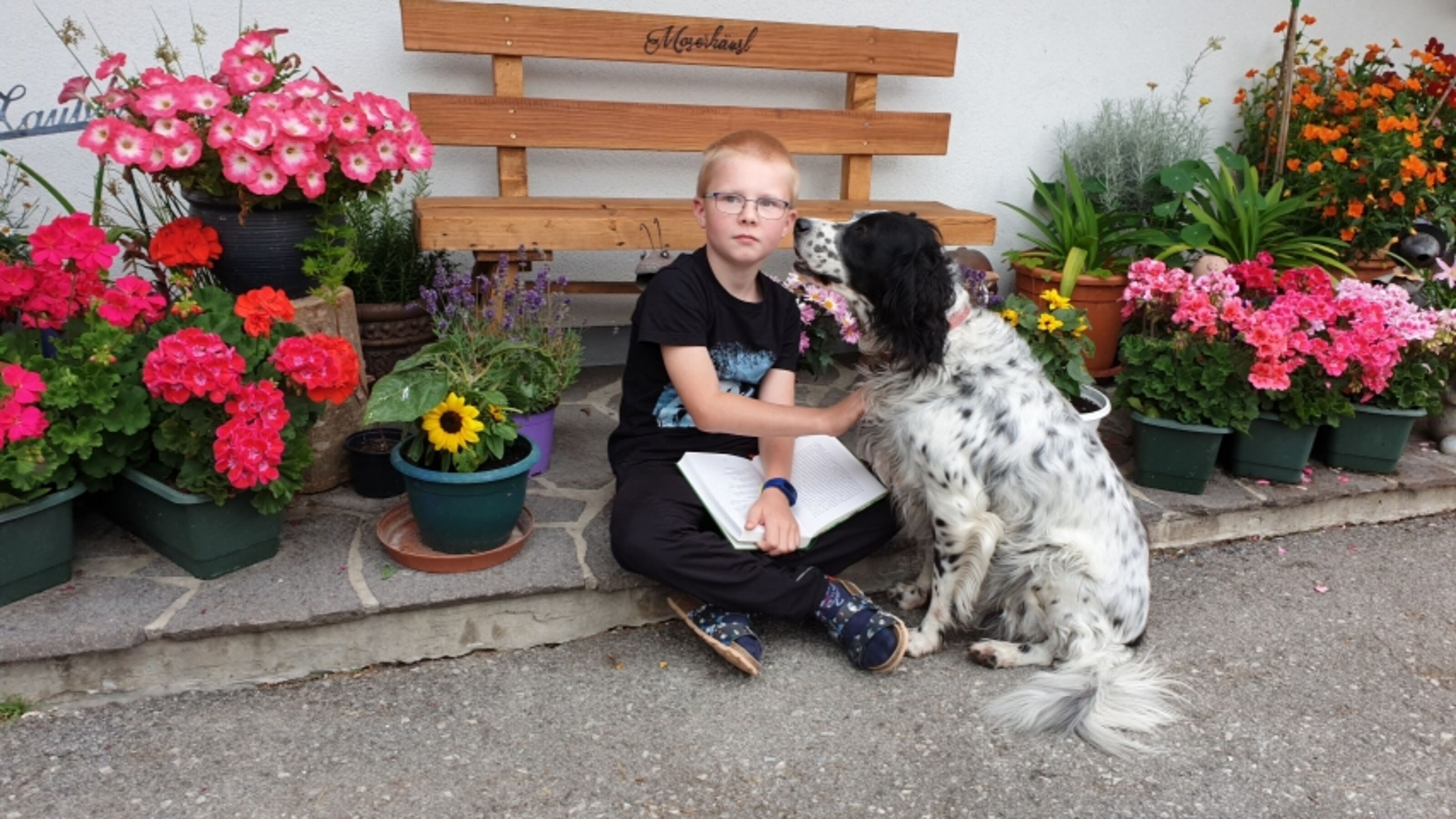 Bild 24