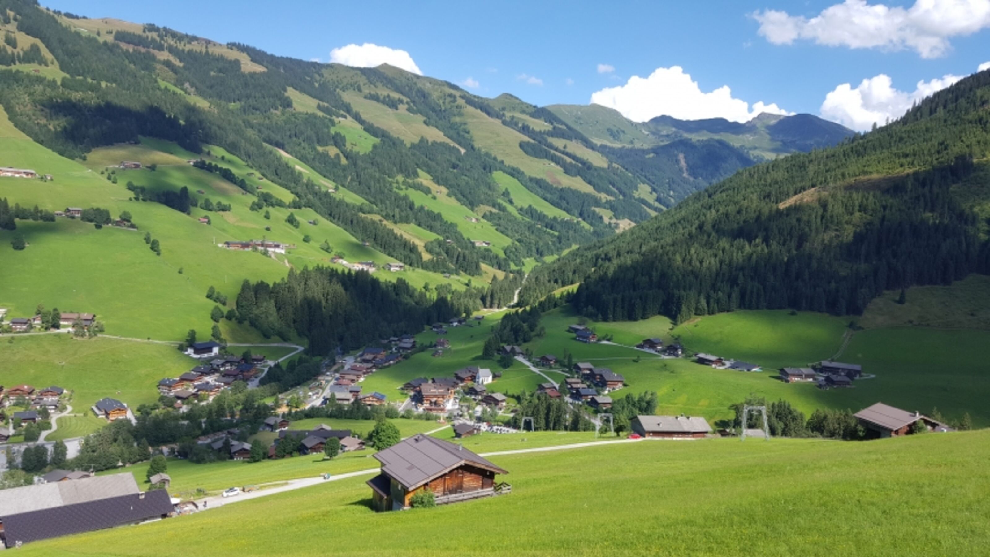 Bild 12