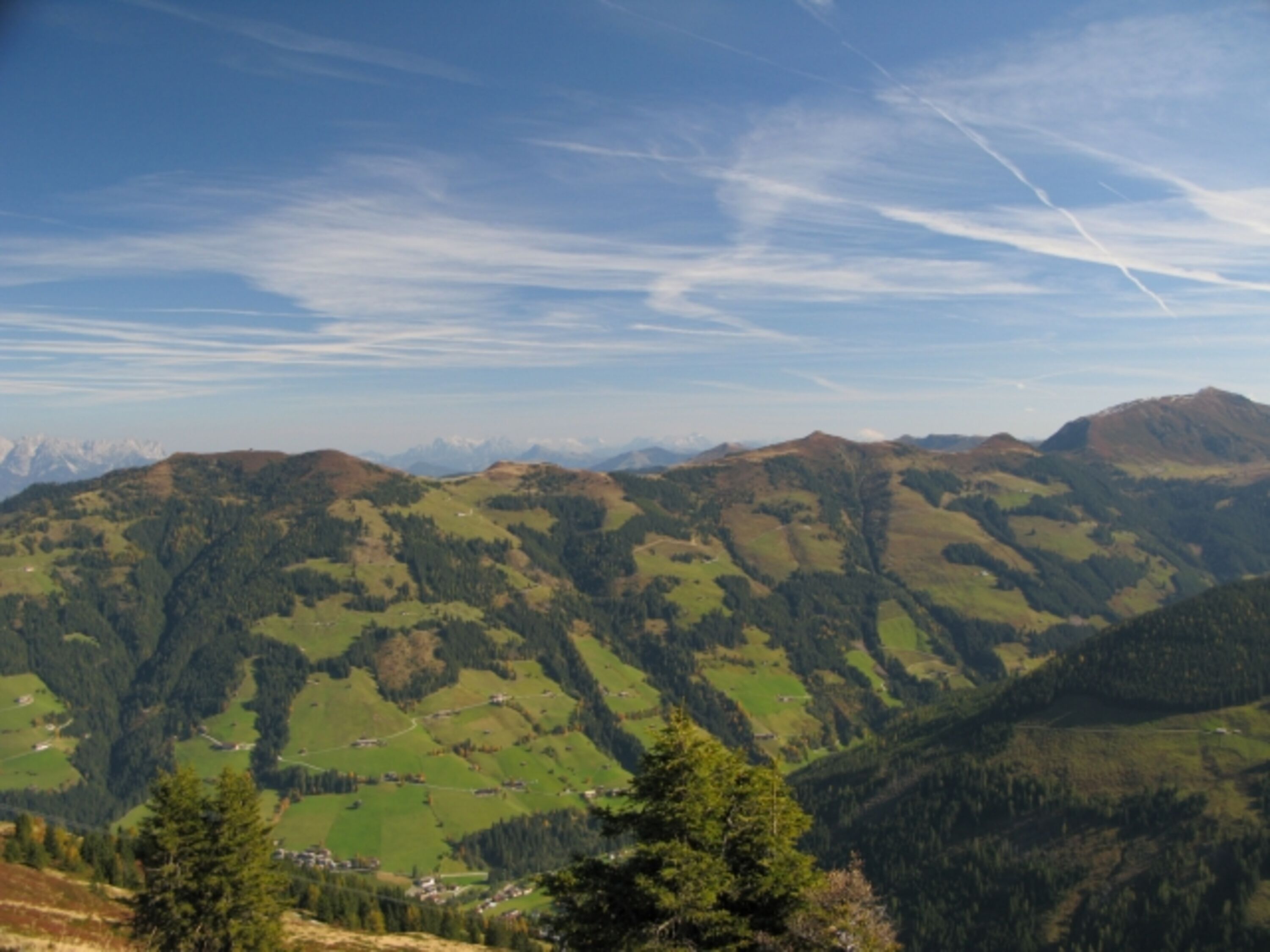 Bild 19