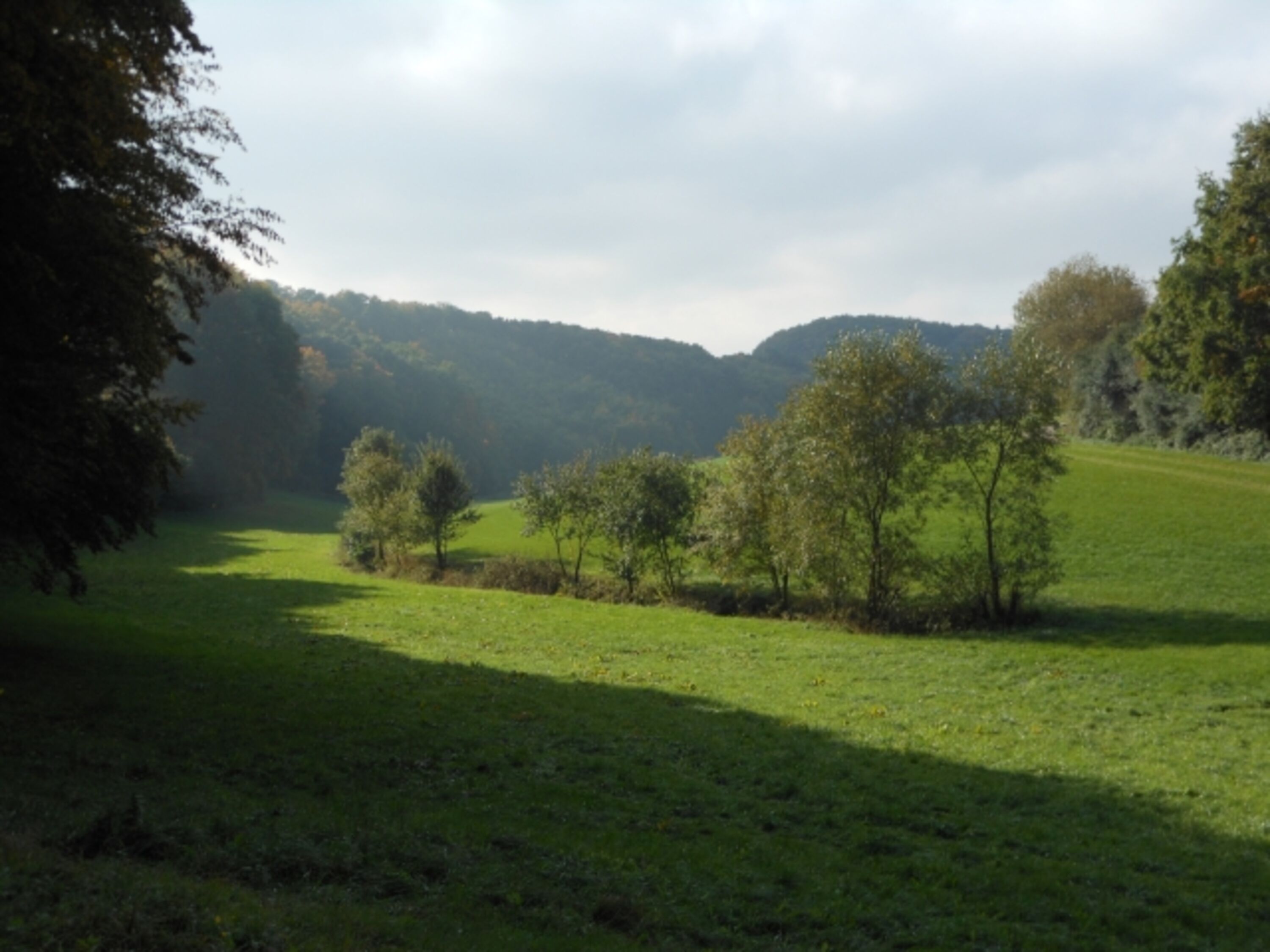 Bild 22