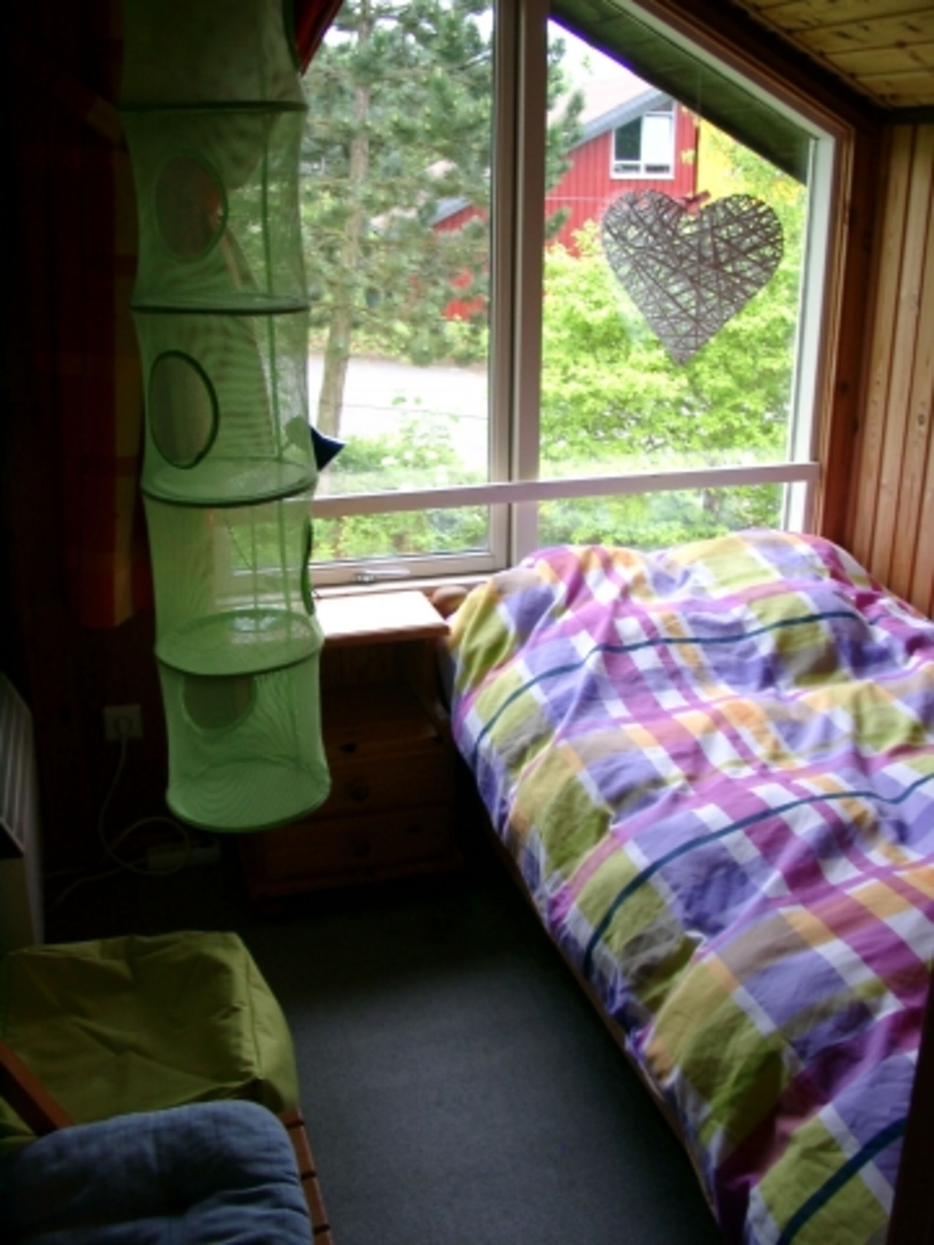 Bild 19