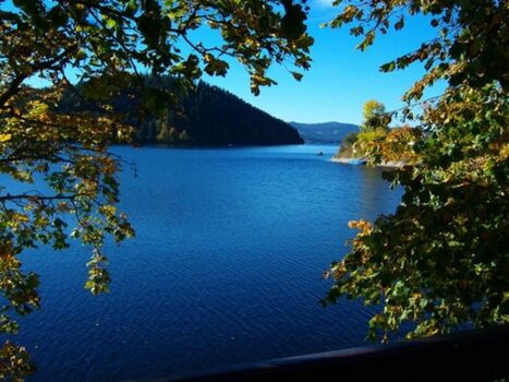 Schluchsee, ideal zum Baden mit oder ohne Hund
