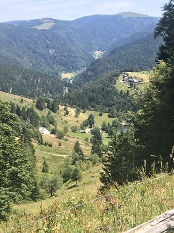 Kleines Wiesental, unendlich viele Wanderwege