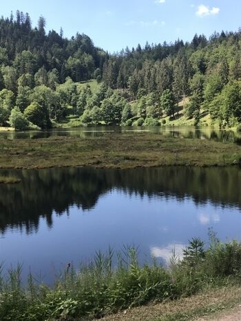 Nonnenmattweiher, perfekt zum kostenlosen Baden