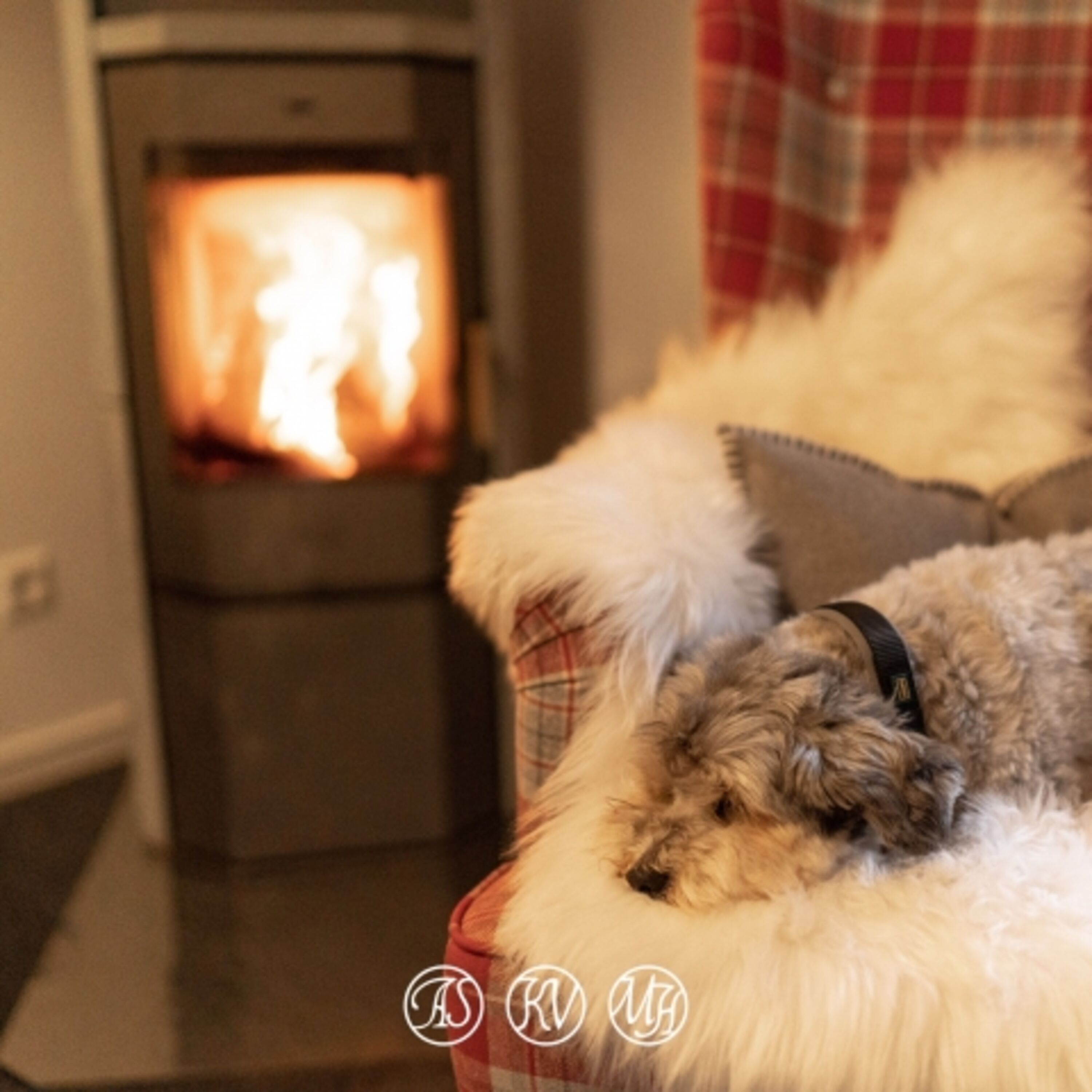 Kuschelabend