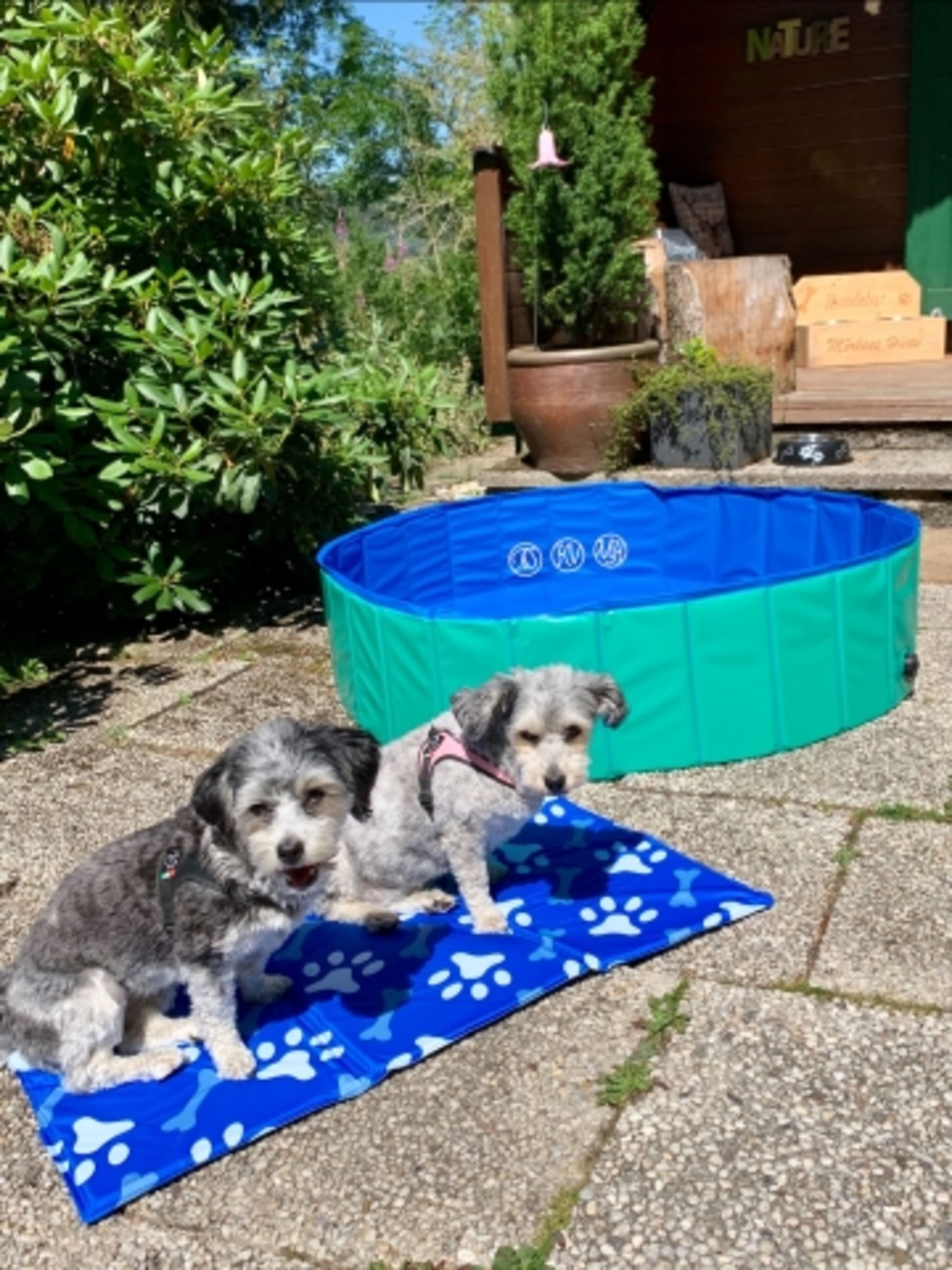 Hunde Kühlmatte für heiße Tage