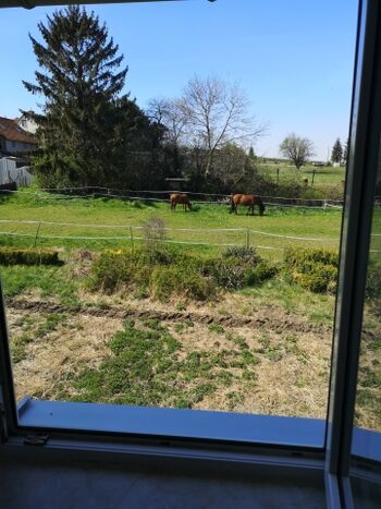 Ausblick aus oberer Küche