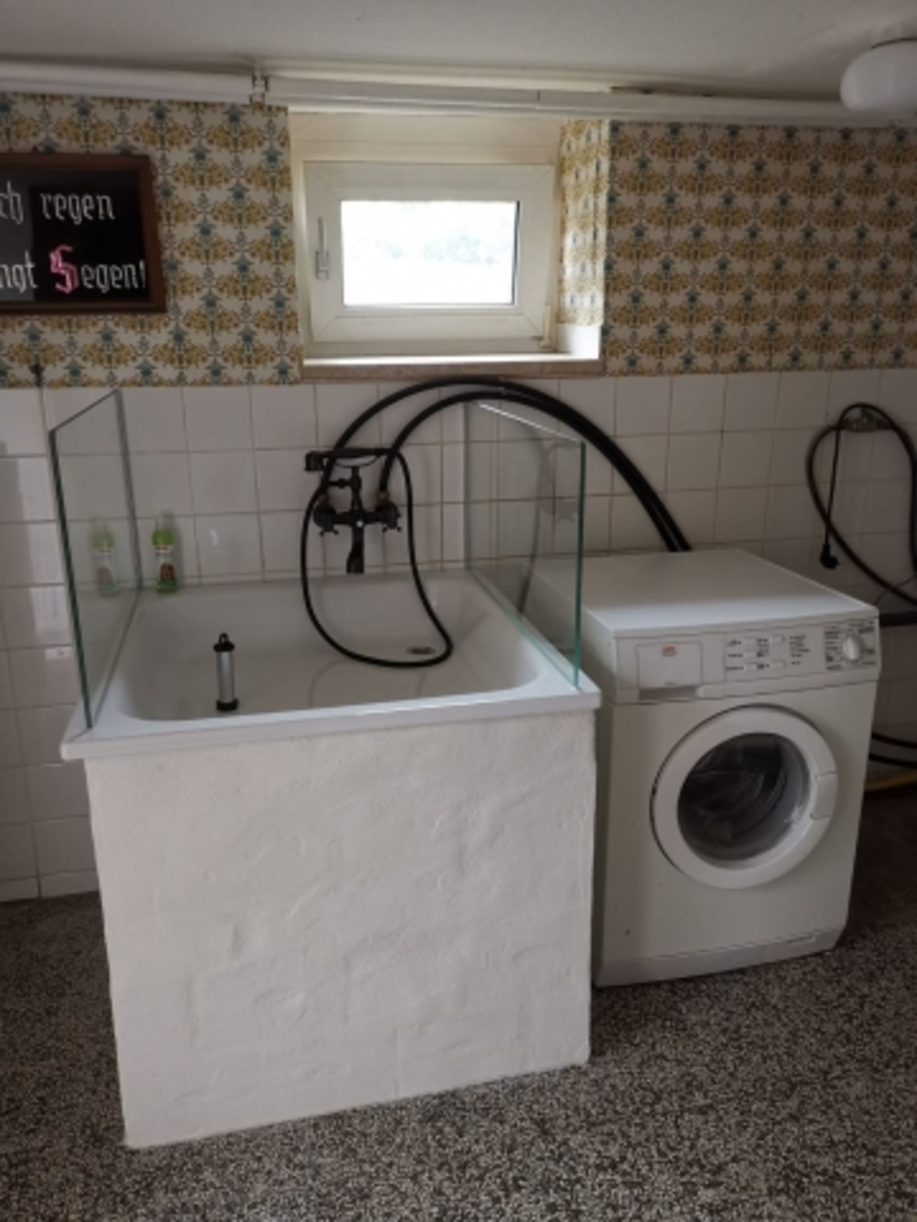 Hundedusche , Waschmaschine