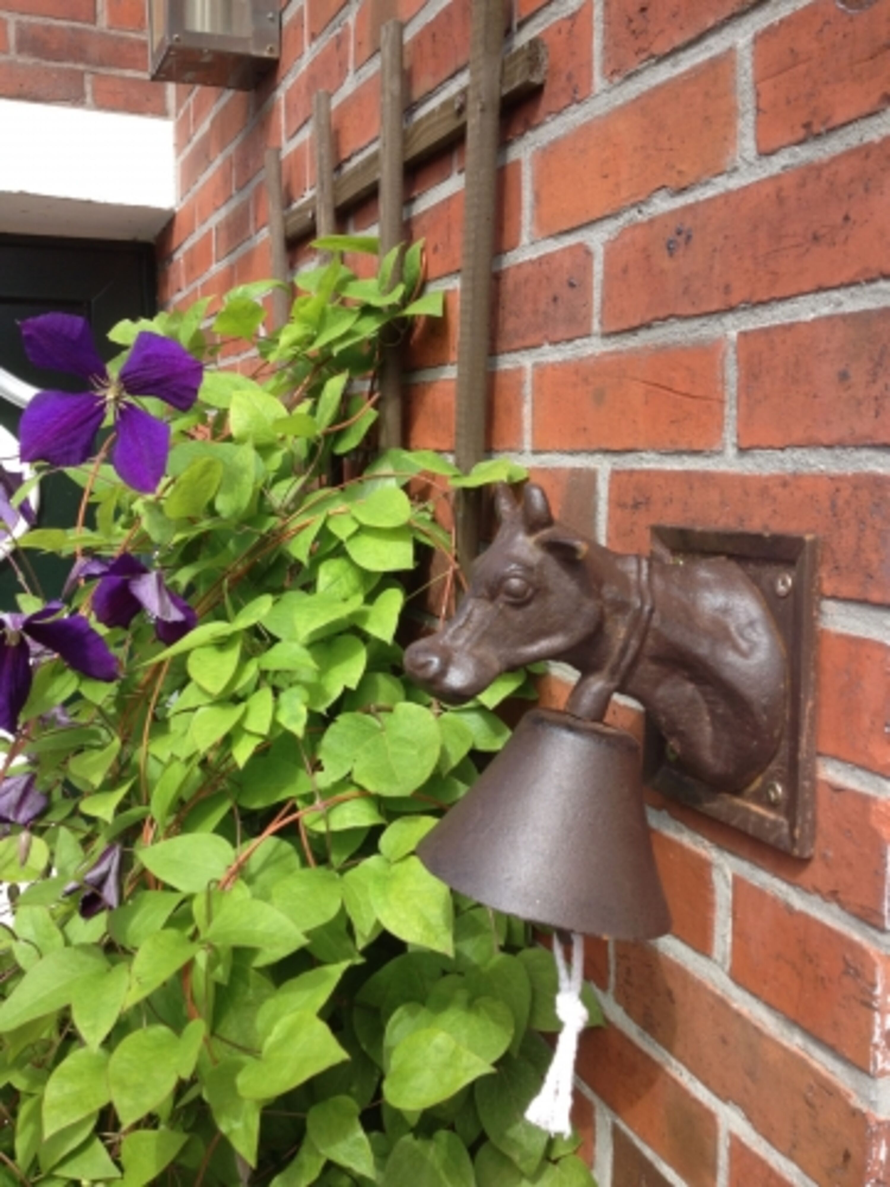 Impressionen