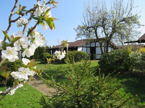 Hausbeispiel Scout 48