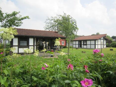 Hausbeispiel Scout 48