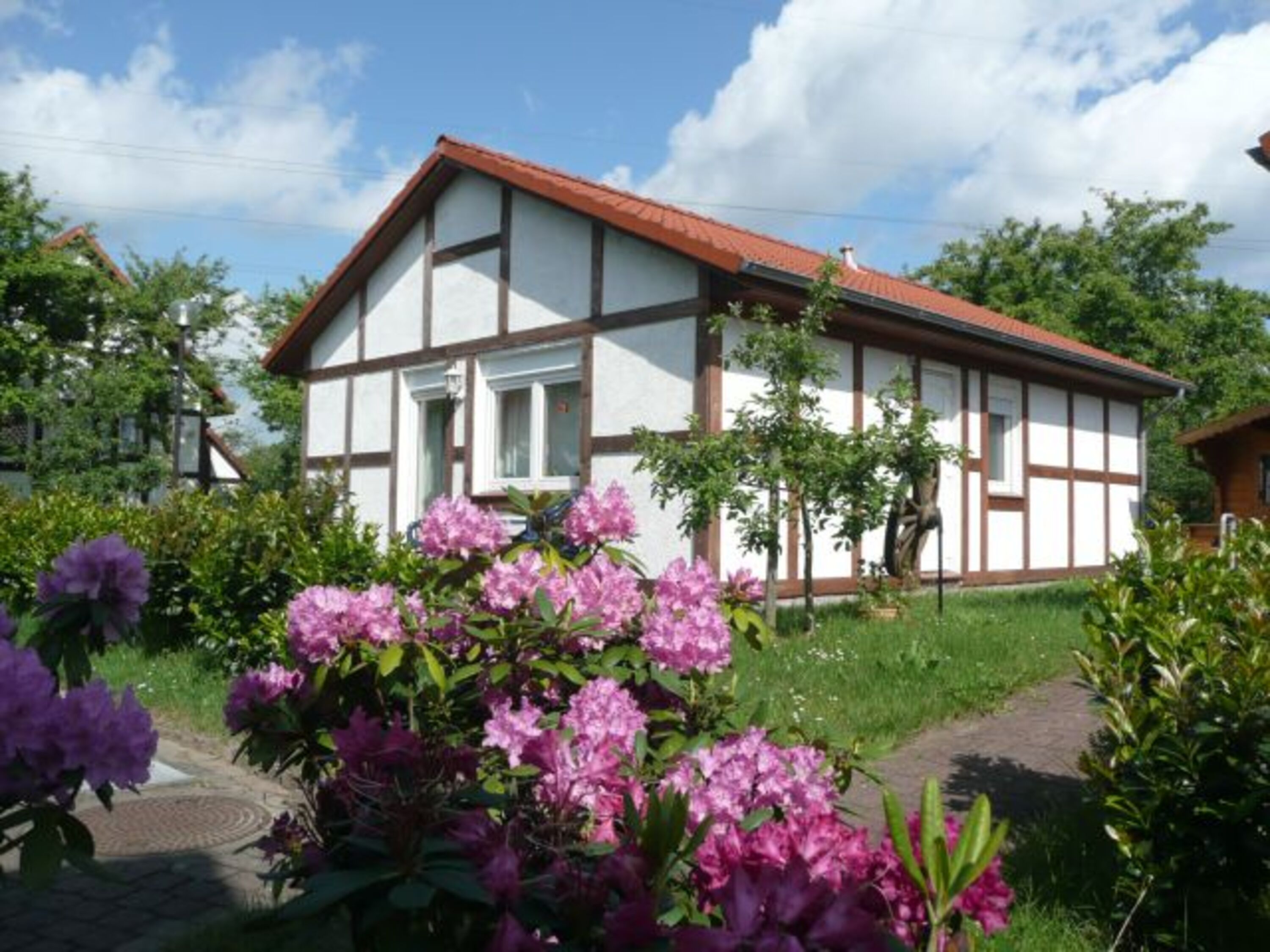 Hausbeispiel Scout 48