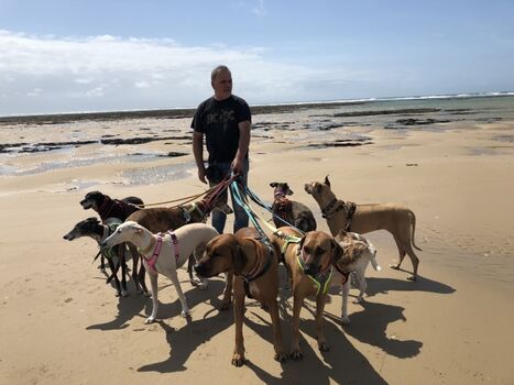 Mit unserer Meute am Meer