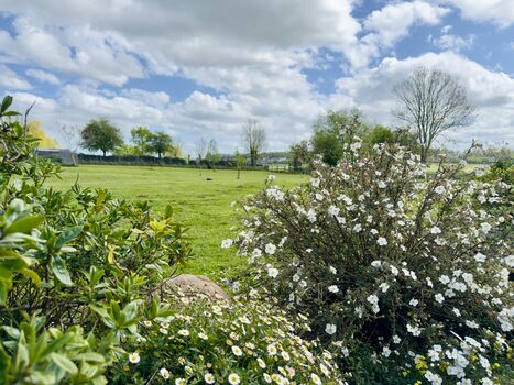 Blick in den 4.500qm großen Garten