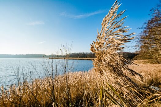 Impression Altdorfer See