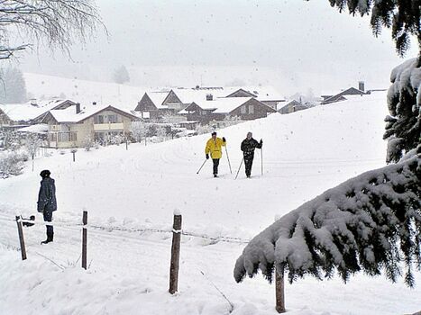 Auch Loipen und Winterwanderwege beginnen direkt hinter dem Haus (idealer Ausgangspunkt zur Entdeckung der Umgebung ganz ohne Auto, zumal Busse und Bahnen für unsere Gäste gratis nutzbar sind !!!)