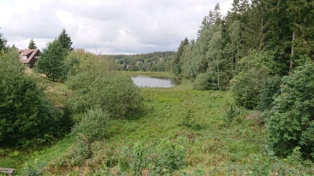 Blick auf Bockswiese von den Teichen