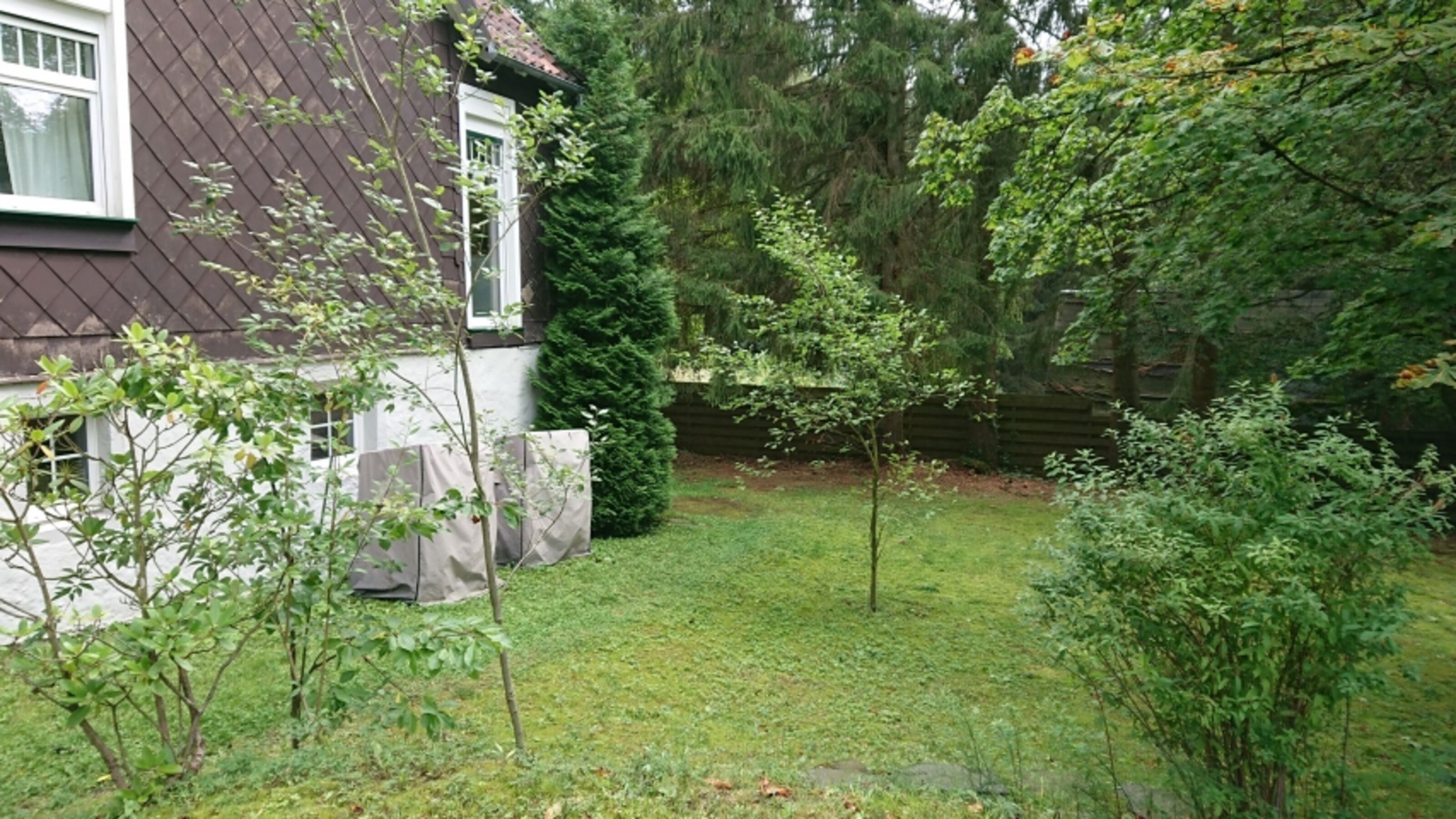Gartenimpression
