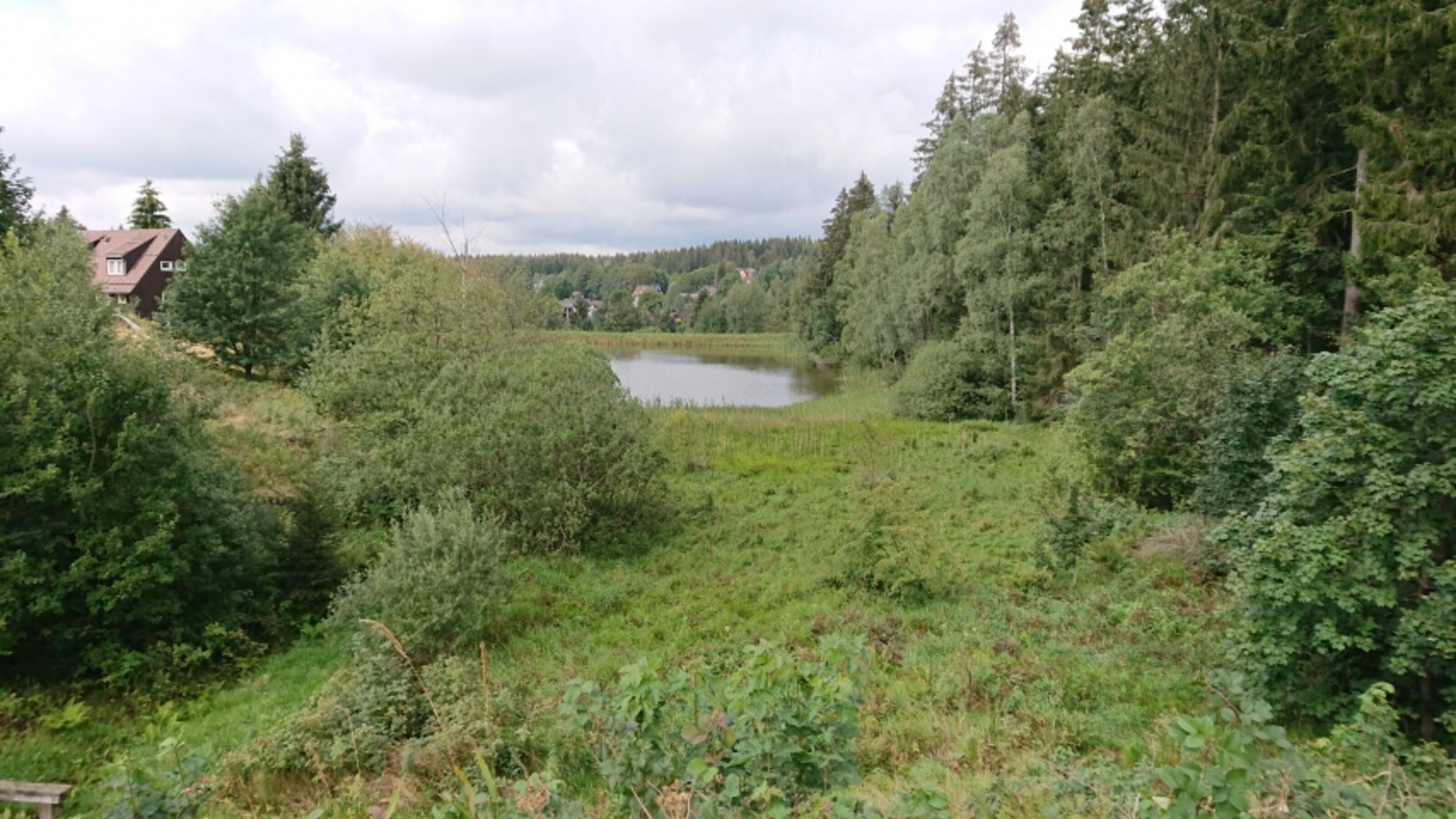 Blick auf Bockswiese von den Teichen