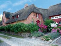 Ferien unterm Reet mit Hund und der ganzen Familie in ruhige ...