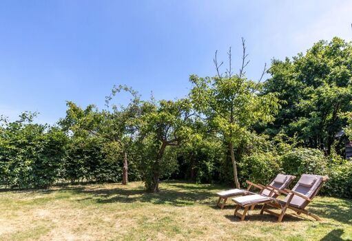 Sonniger Garten mit Liegen