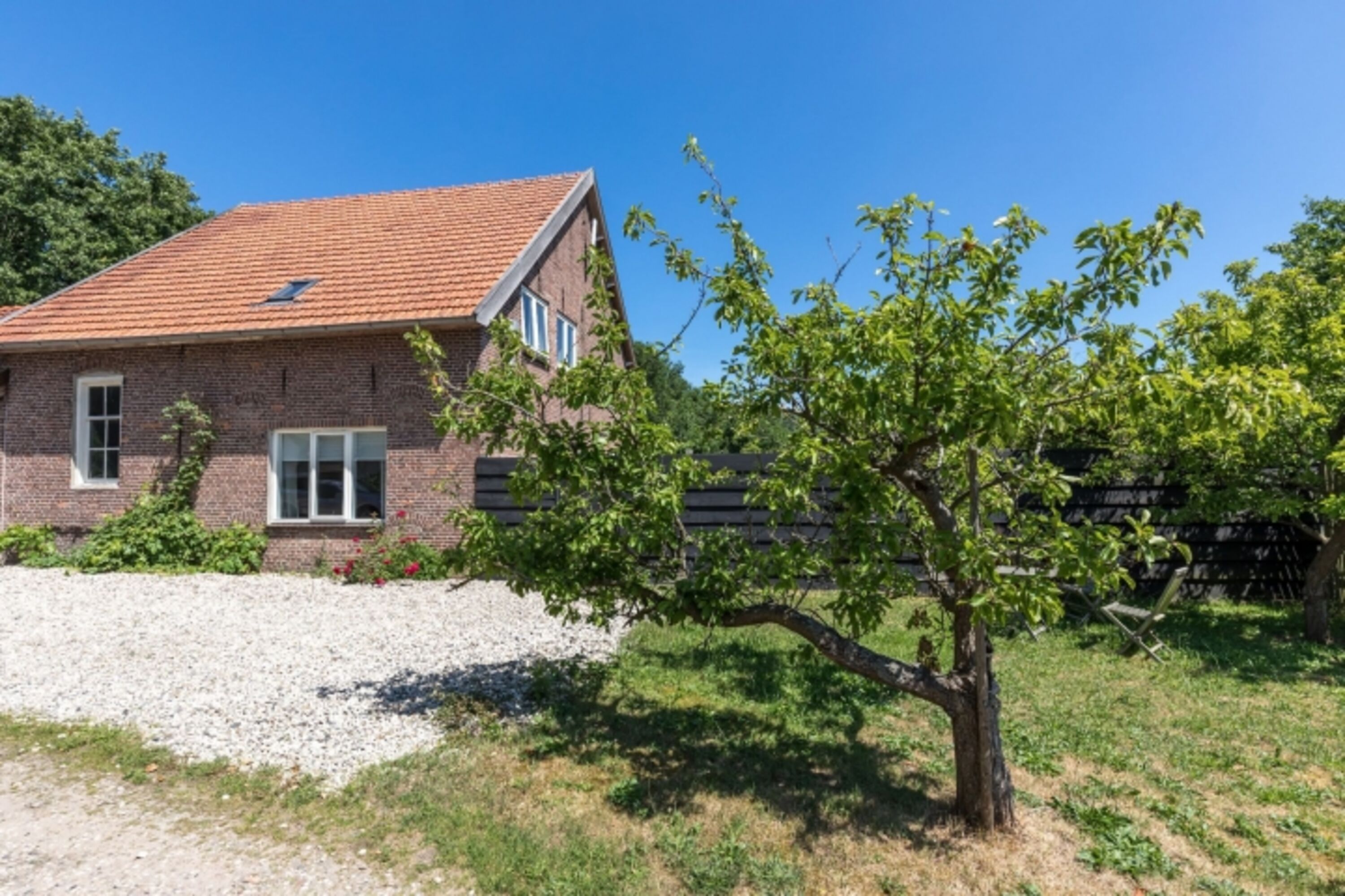 Bild 17
