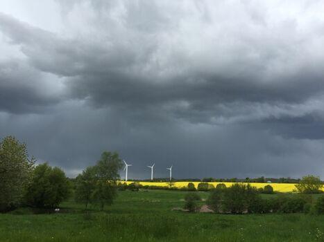 auch bei Schietwetter schön (Blick über die Koppel)
