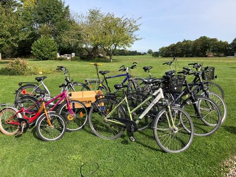 zur freien Verfügung