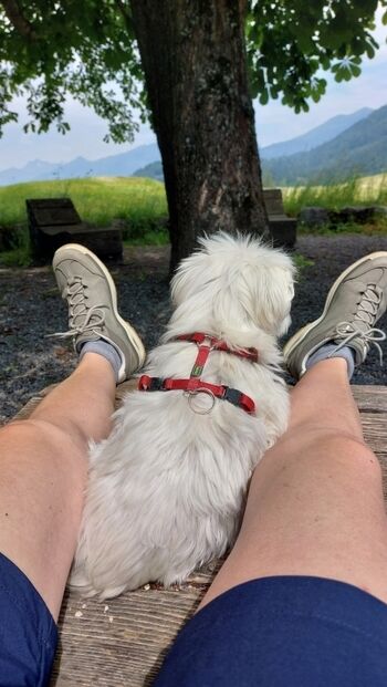 Tolle Wanderziele in der nahen Umgebung