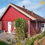 Ferienhaus mit Hund am See in Schleswig Holstein, Wald, Wies ...