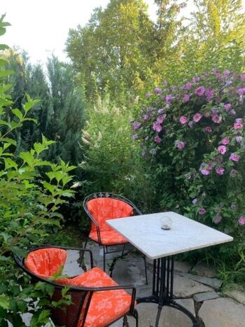 Ambiente / Sitzbereich