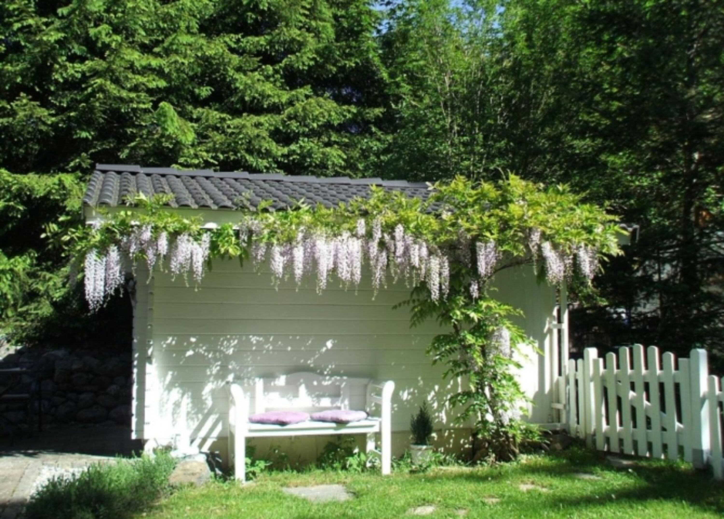 Bild 17