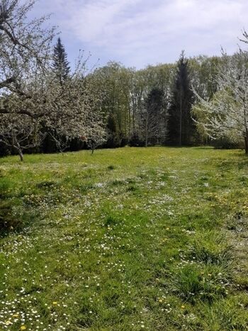 Das umzäunte Grundstück im Frühjahr