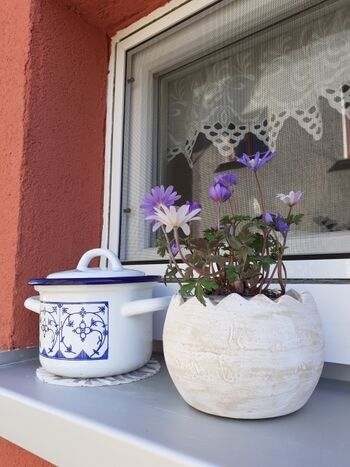 Von außen wie auch innen detailgetreu