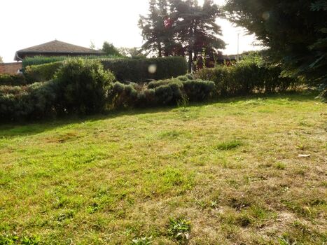 Blick auf das Grundstück